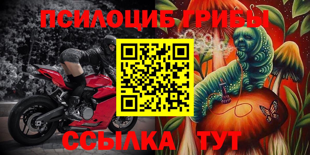Псилоцибиновые грибы Cubensis  Вход с VPN  Белгород 